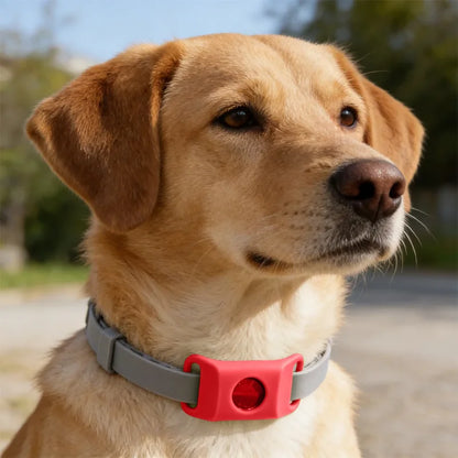 Natural Flea & Tick Repellent Dog Collar With Pendant