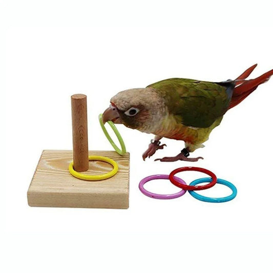 Parrot Training Ring Toy – Interactive Educational Bird Toy