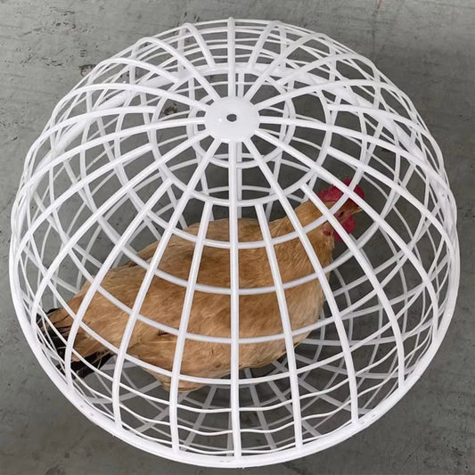 Chicken Ball Cage Pack of 3 Outdoor Pet Enclosure for Small Animals