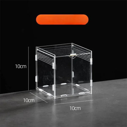 Acrylic Reptile Terrarium – Nano Breeding Box for Spider, Scorpion & Lizards