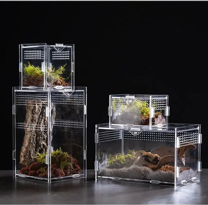 Acrylic Reptile Terrarium – Nano Breeding Box for Spider, Scorpion & Lizards