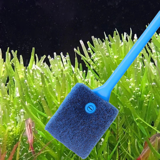 Double-Sided Algae Brush – Aquarium Glass & Acrylic Cleaner Tool