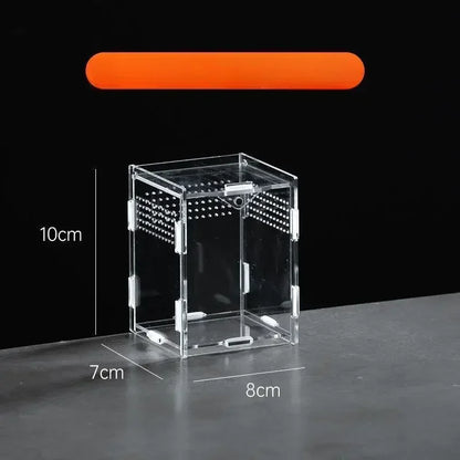 Acrylic Reptile Terrarium – Nano Breeding Box for Spider, Scorpion & Lizards