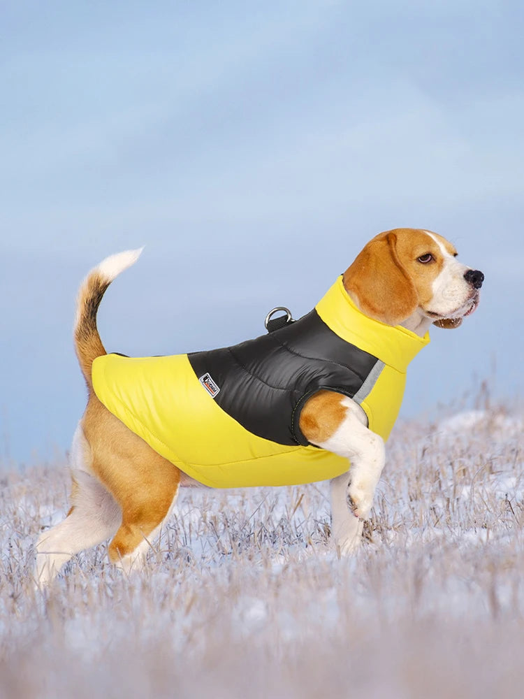 Waterproof Dog Jacket - Winter Warm Coat for Small & Large Dogs