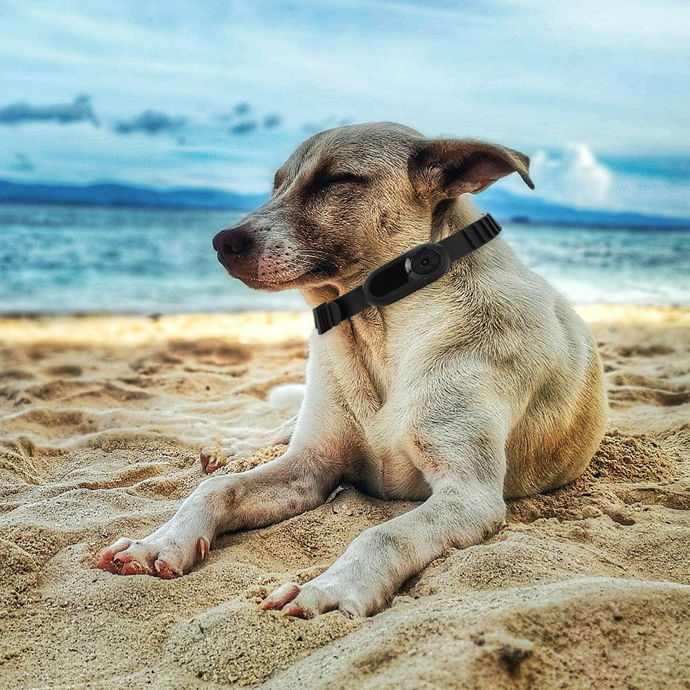 Pet Collar Camera 1080P HD - Wireless Action Camera for Dogs & Cats