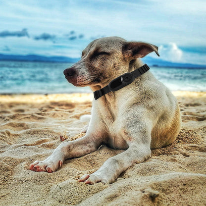 Pet Collar Camera 1080P HD - Wireless Action Camera for Dogs & Cats