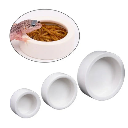 Anti-Escape Ceramic Reptile Bowl – Feeder & Water Dish for Small Pets