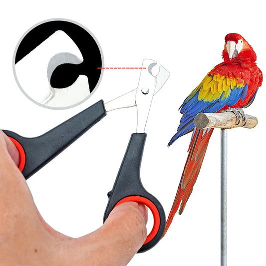 Bird Nail Clippers – Parrot Nail Trimmer Scissors for Safe Claw Grooming & Cutting