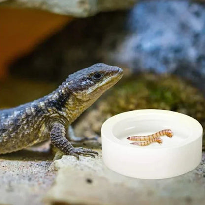 Anti-Escape Ceramic Reptile Bowl – Feeder & Water Dish for Small Pets