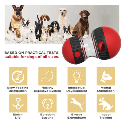 IQ Training Dog Toy – Slow Feeder for Small to Large Dogs, Indoor Puppy Toy