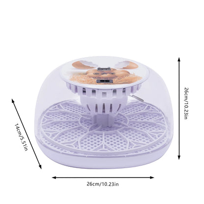 Automatic Egg Incubator 12 Egg with Temperature and Humidity Control