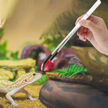 Feeding Tweezers – Straight & Curved Stainless Steel Tongs for Reptiles