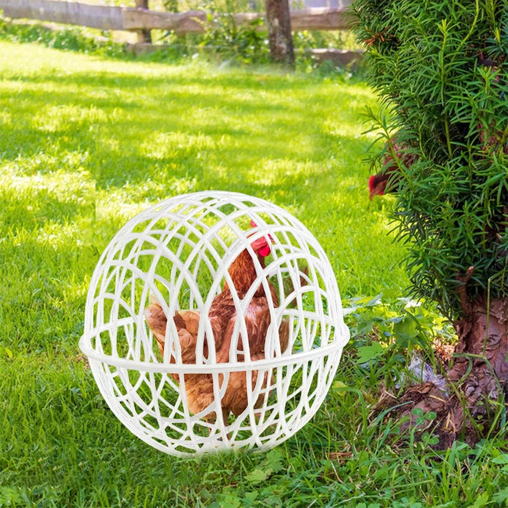 Chicken Ball Cage Pack of 3 Outdoor Pet Enclosure for Small Animals