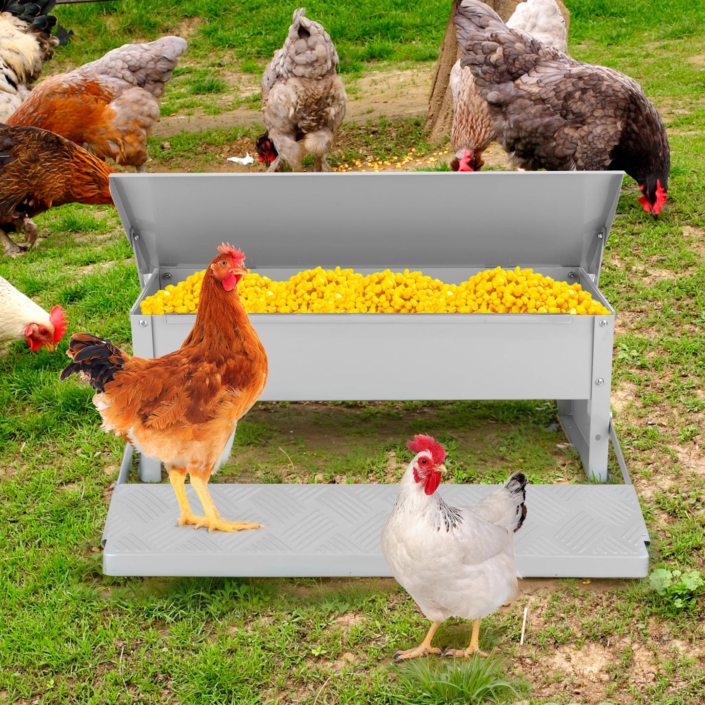 Automatic Treadle Chicken Feeder with Weatherproof Lid Rat Proof