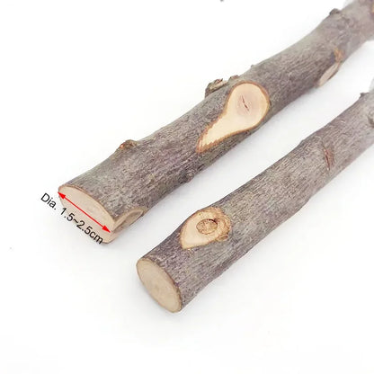 Natural Wood Branch Stand – Chew Toy Perch for Parrots, Hamsters & Birds
