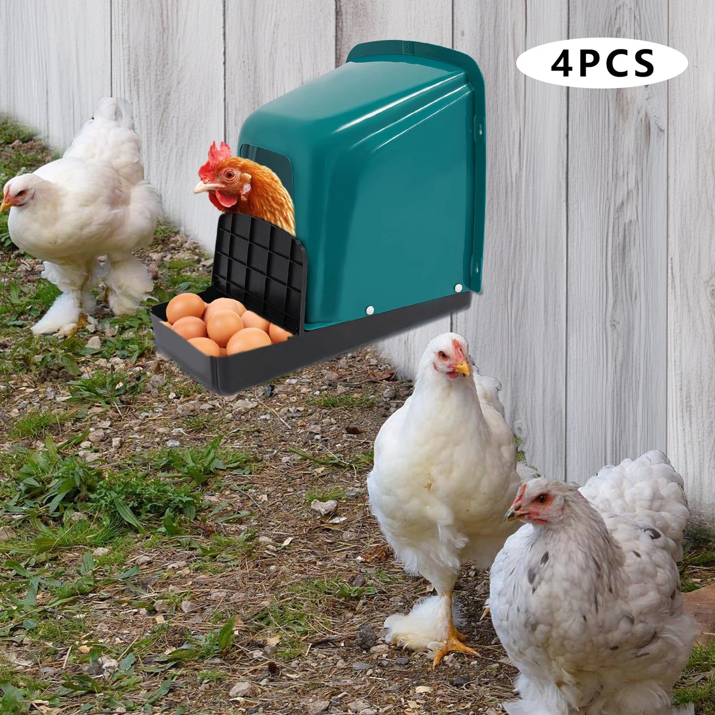 Plastic Chicken Nesting Boxes Set of 4 for Laying Hens