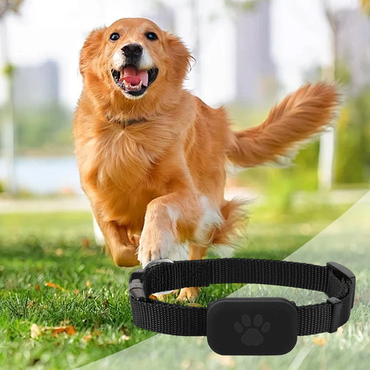 GPS Pet Tracker for Dogs & Cats – Smart Collar with Real-Time Location Tracking