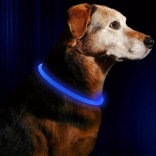 LED Dog Collar – USB Rechargeable Luminous Anti - Lost Light Necklace for Pets - The Best For Pets