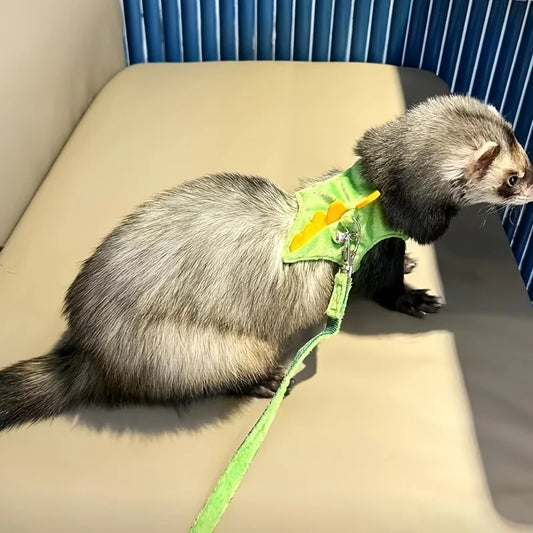 Ferret Harness & Leash - Cute Dinosaur Vest with Bell for Small Pets