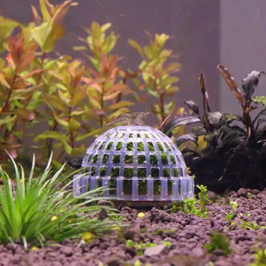 Plastic Aquarium Moss Ball Filter Aquatic Pet Supplies Decorations  Shrimps Fish Tank Pet Products Fish Tank Decor