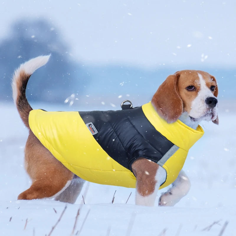 Waterproof Dog Jacket - Winter Warm Coat for Small & Large Dogs