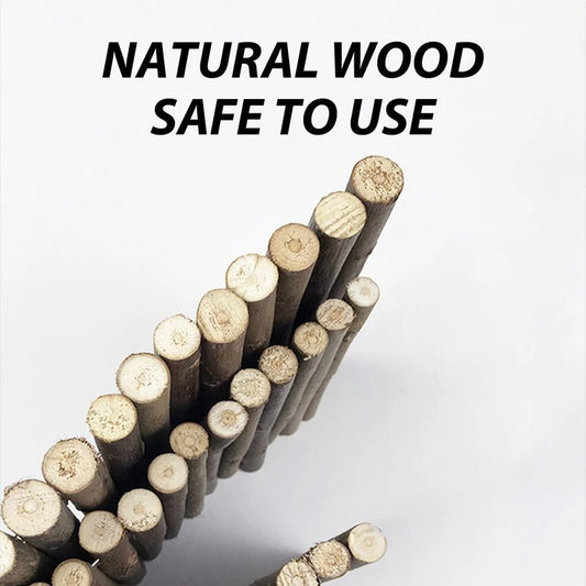 Willow Branch Chew Toy - Natural Climbing Ladder & Bridge for Small Pets - The Best For Pets