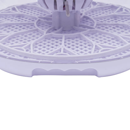Automatic Egg Incubator 12 Egg with Temperature and Humidity Control
