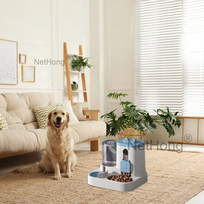 Automatic Cat Dispenser Set 2 In 1 Tilted Pet Food And Water Feeder