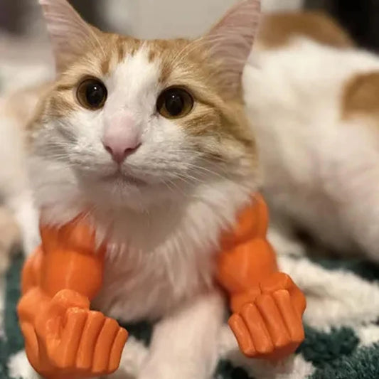 Funny 3D Cat Muscle Arm Costume – Hilarious Pet Cosplay Accessory for Halloween, Parties & Photos