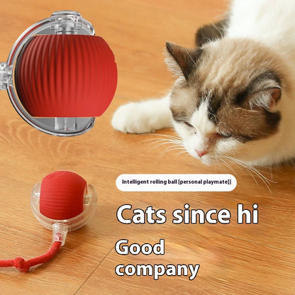 Rechargeable Smart Cat Ball – Automatic Rolling Toy with Teaser & Sensor