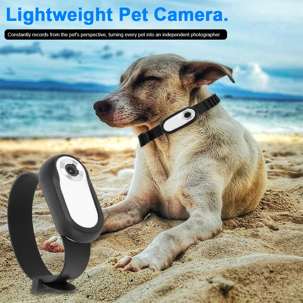 Pet Collar Camera 1080P HD - Wireless Action Camera for Dogs & Cats