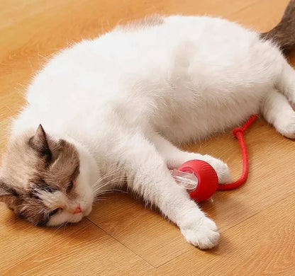Rechargeable Smart Cat Ball – Automatic Rolling Toy with Teaser & Sensor