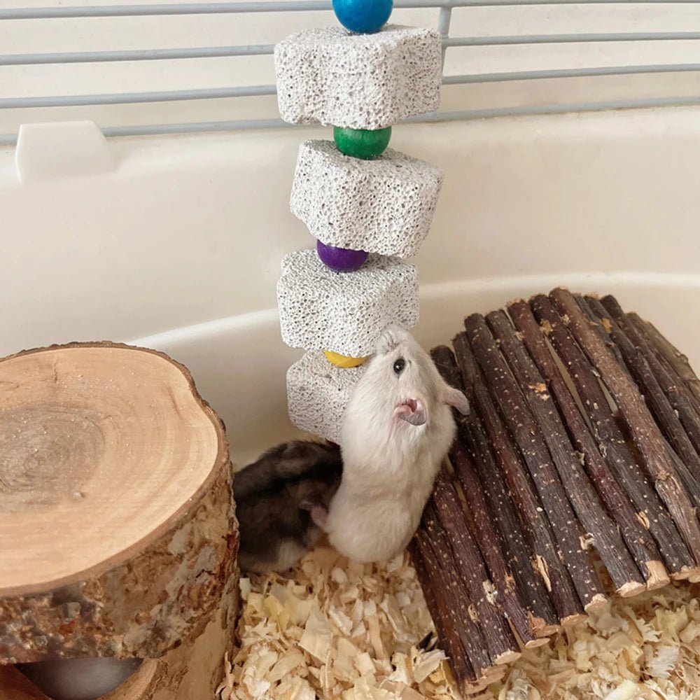 Volcanic Rock Chew Toy - Natural Teeth Grinding Stone for Parrots & Hamsters - The Best For Pets