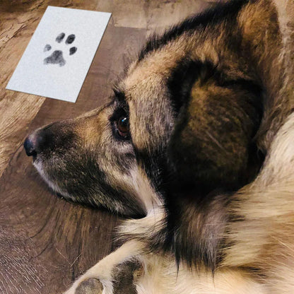 Paw Print Ink Pad Kit – Safe, Non-Toxic Inkless Pad for Pet & Baby Keepsake Prints