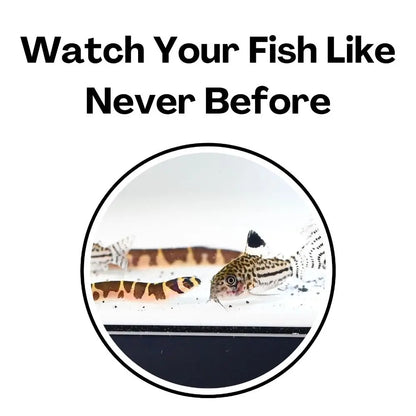 Aquarium Tunnel Cave – Curved Under Gravel Fish Tank Decoration