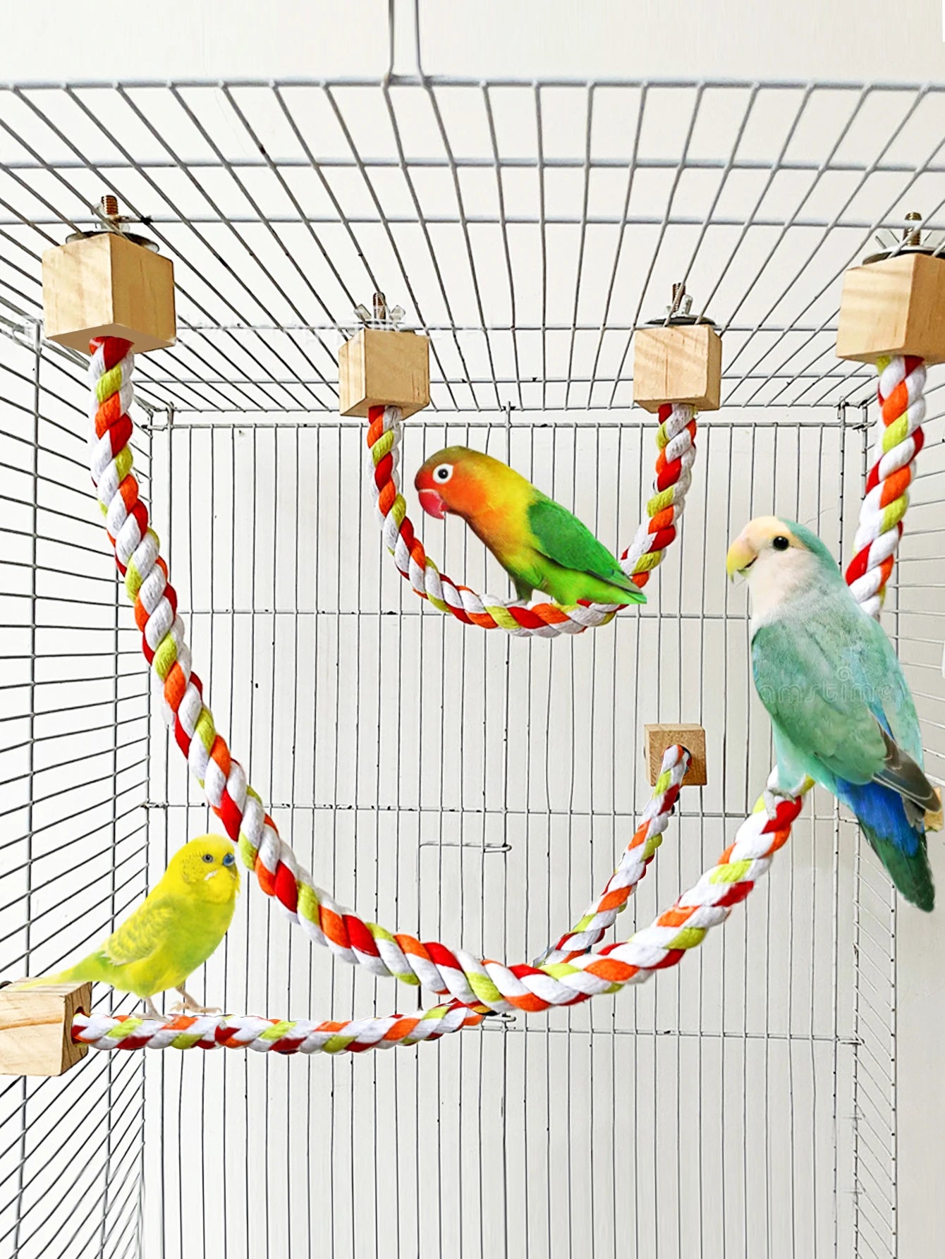 Colourful Cotton Rope Bird Swing - Wooden Climbing Toy for Parrots