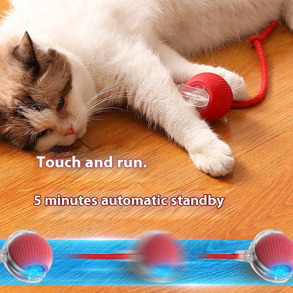 Rechargeable Smart Cat Ball – Automatic Rolling Toy with Teaser & Sensor