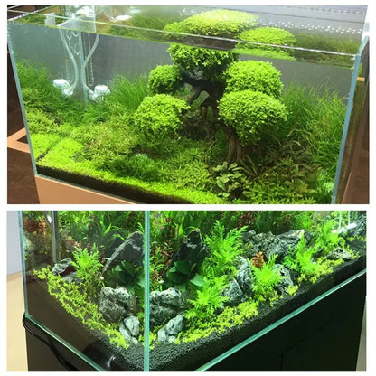 Aquarium Plant Soil – Fertile Substrate for Fish Tank Plants & Decor