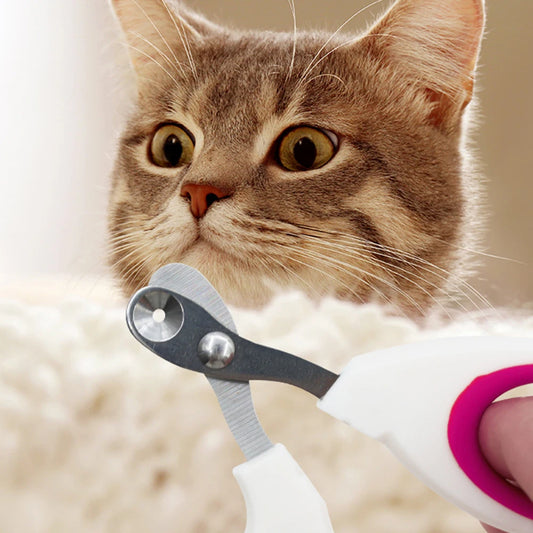 Small Pet Nail Clippers for Cats – Safe & Easy Trimming Tool