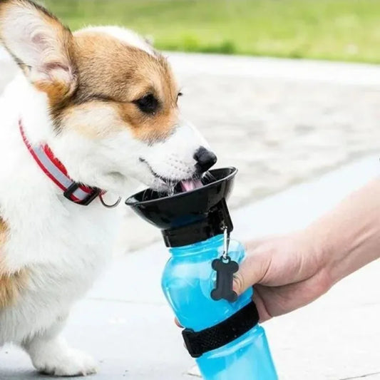 Portable Dog Water Bottle 500ml - Travel Drinking Bowl for Dogs & Cats