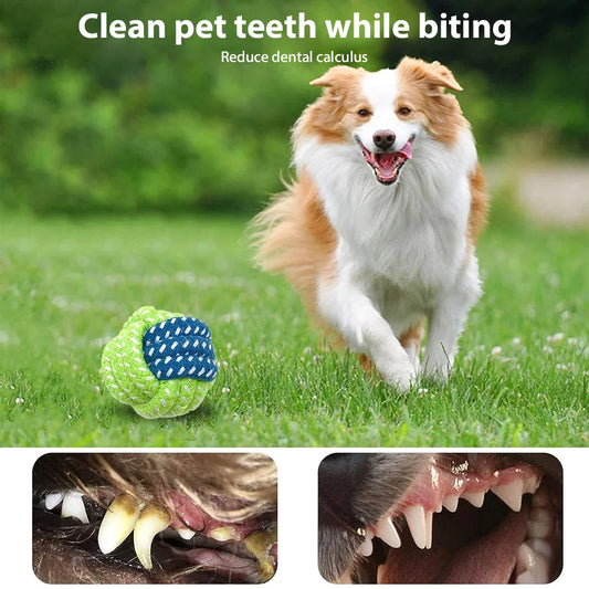 Dog Toy Set – Vibrant Chew & Squeaky Toys with Ropes for Teeth Cleaning & Play