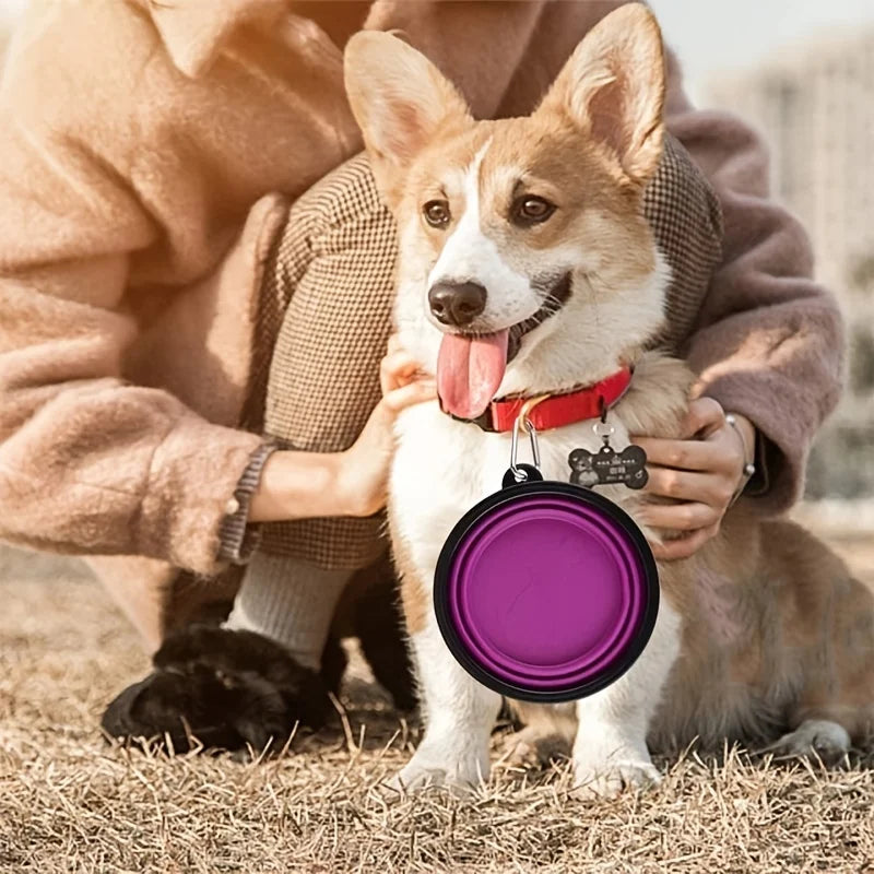 Collapsible Pet Food Bowl 350ml - Portable Silicone Travel Bowl for Dogs & Cats