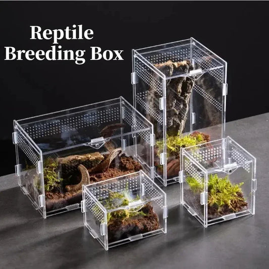 Acrylic Reptile Terrarium – Nano Breeding Box for Spider, Scorpion & Lizards