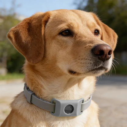 Natural Flea & Tick Repellent Dog Collar With Pendant