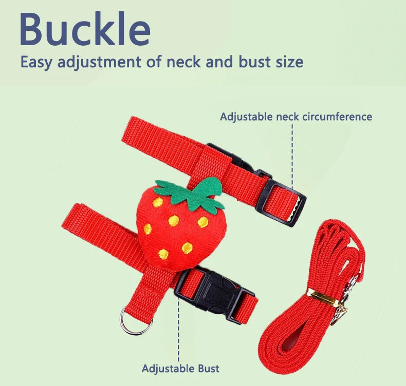 Small Pet Harness & Leash Set - Adjustable for Rabbits, Cats, Ferrets & Guinea Pigs