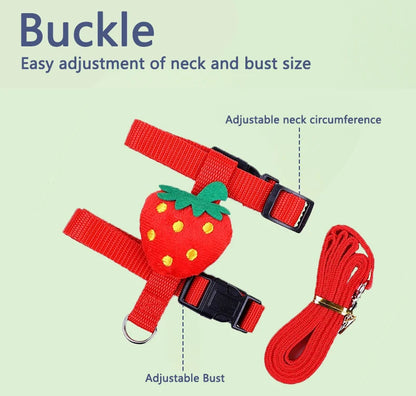 Small Pet Harness & Leash Set - Adjustable for Rabbits, Cats, Ferrets & Guinea Pigs