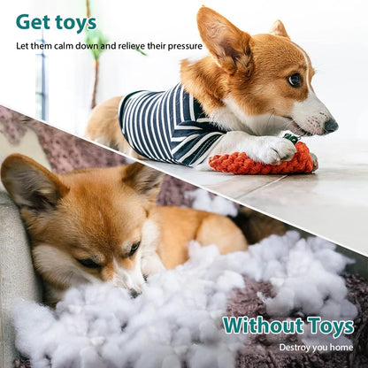 Dog Toy Set – Vibrant Chew & Squeaky Toys with Ropes for Teeth Cleaning & Play