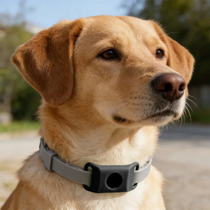 Natural Flea & Tick Repellent Dog Collar With Pendant