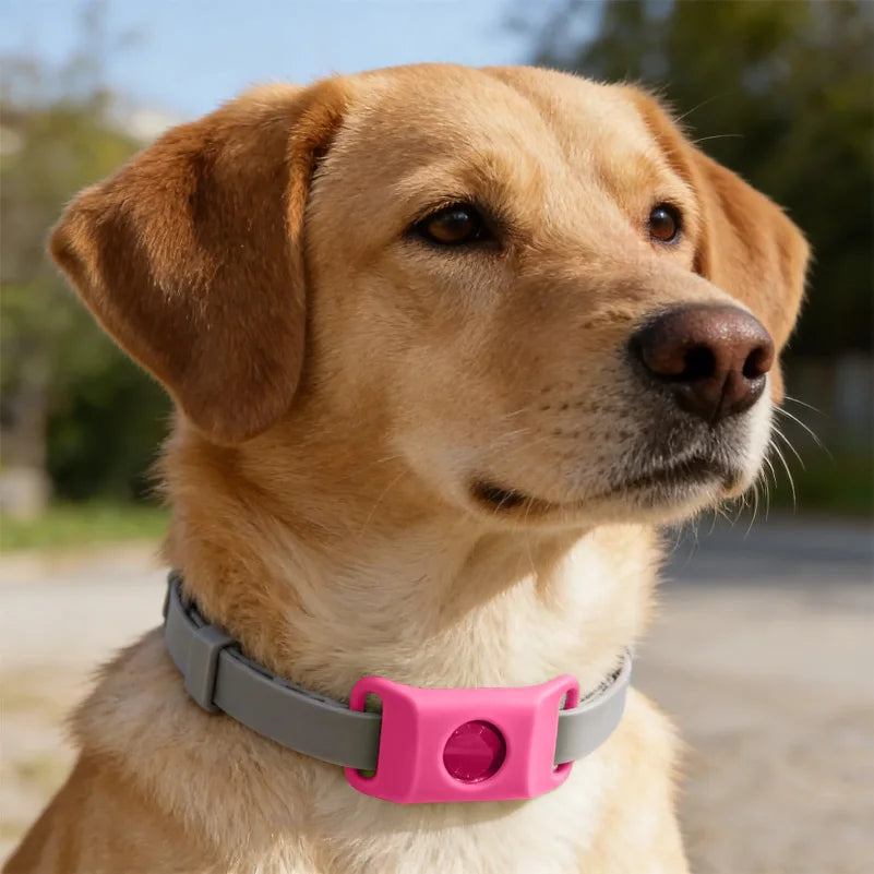 Natural Flea & Tick Repellent Dog Collar With Pendant