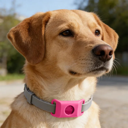 Natural Flea & Tick Repellent Dog Collar With Pendant